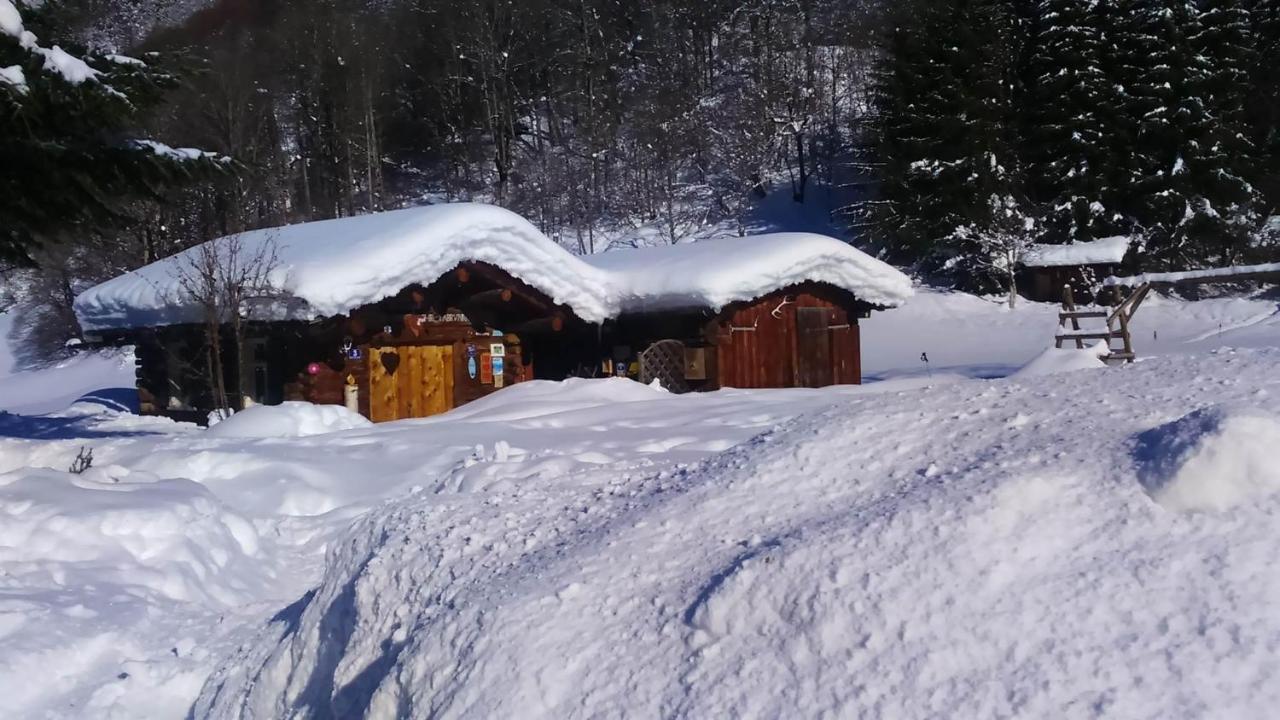 Alpenherz Apartments Sankt Gallenkirch Exteriör bild